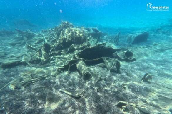 DCIM100GOPROGOPR1613.JPG