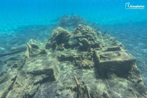 DCIM100GOPROGOPR1631.JPG